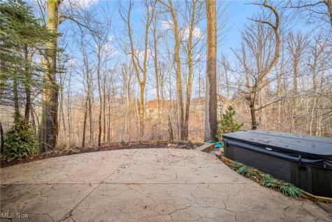 11195 Caddie Lane Concord OH 44077