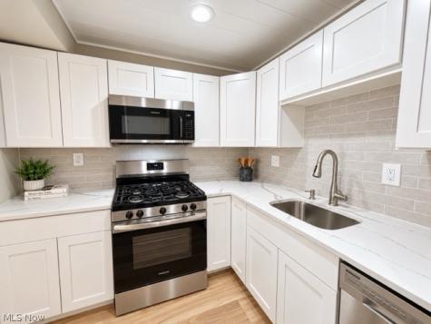 1651 Mentor Avenue Painesville OH 44077