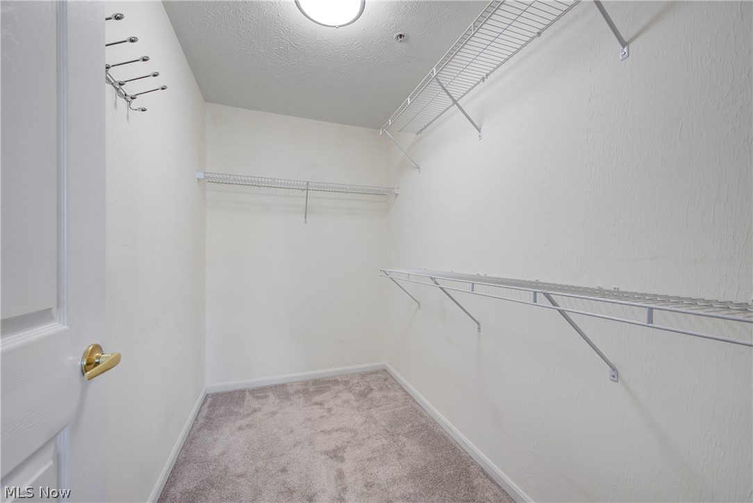 23003 Chandlers Lane Olmsted Falls OH 44138