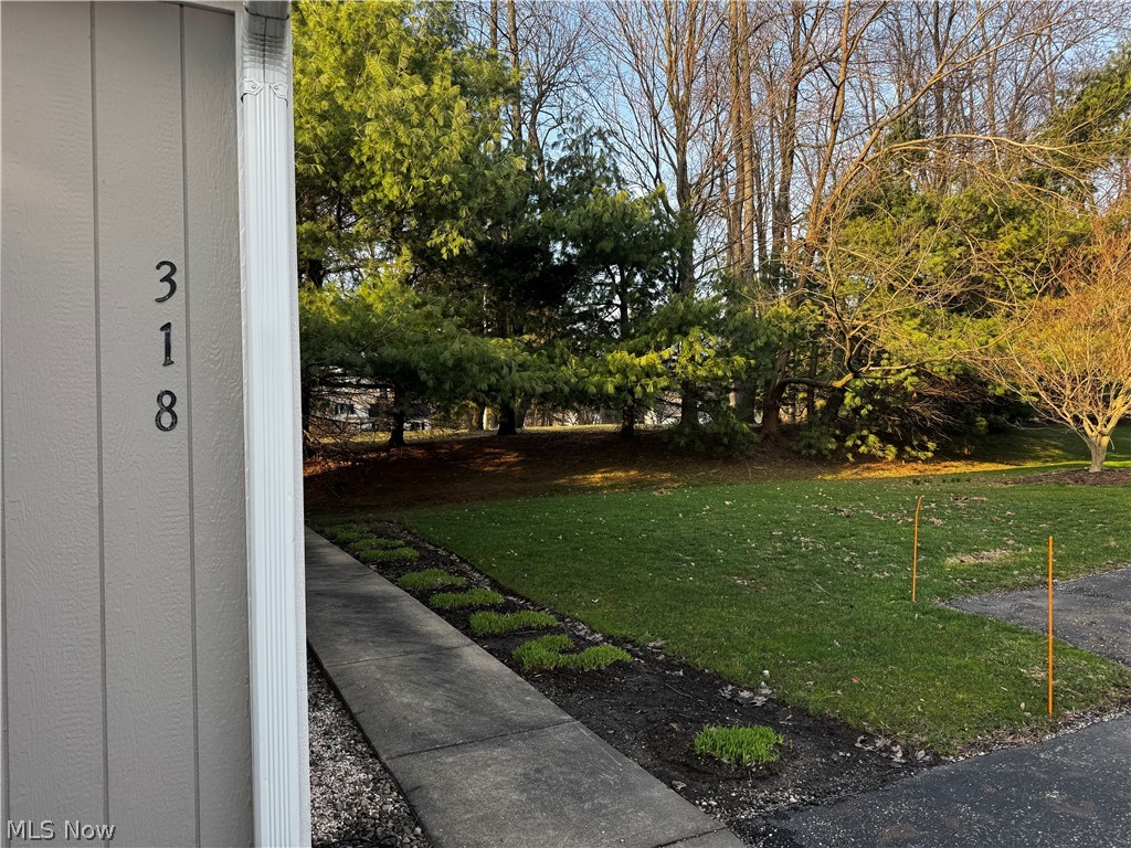 318 Millennium Drive Tallmadge OH 44278