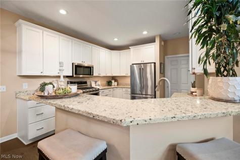 33249 Belladon Court Avon Lake OH 44012