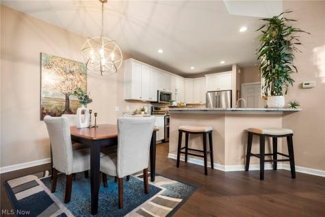 33249 Belladon Court Avon Lake OH 44012