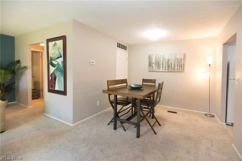 2854 Pease Drive Rocky River OH 44116