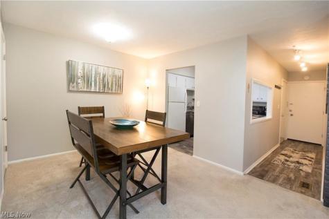 2854 Pease Drive Rocky River OH 44116