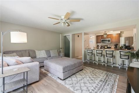 542 Topaz Lane Brunswick OH 44212