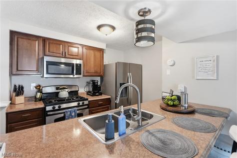 542 Topaz Lane Brunswick OH 44212