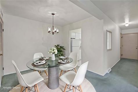 2948 Pease Drive Rocky River OH 44116