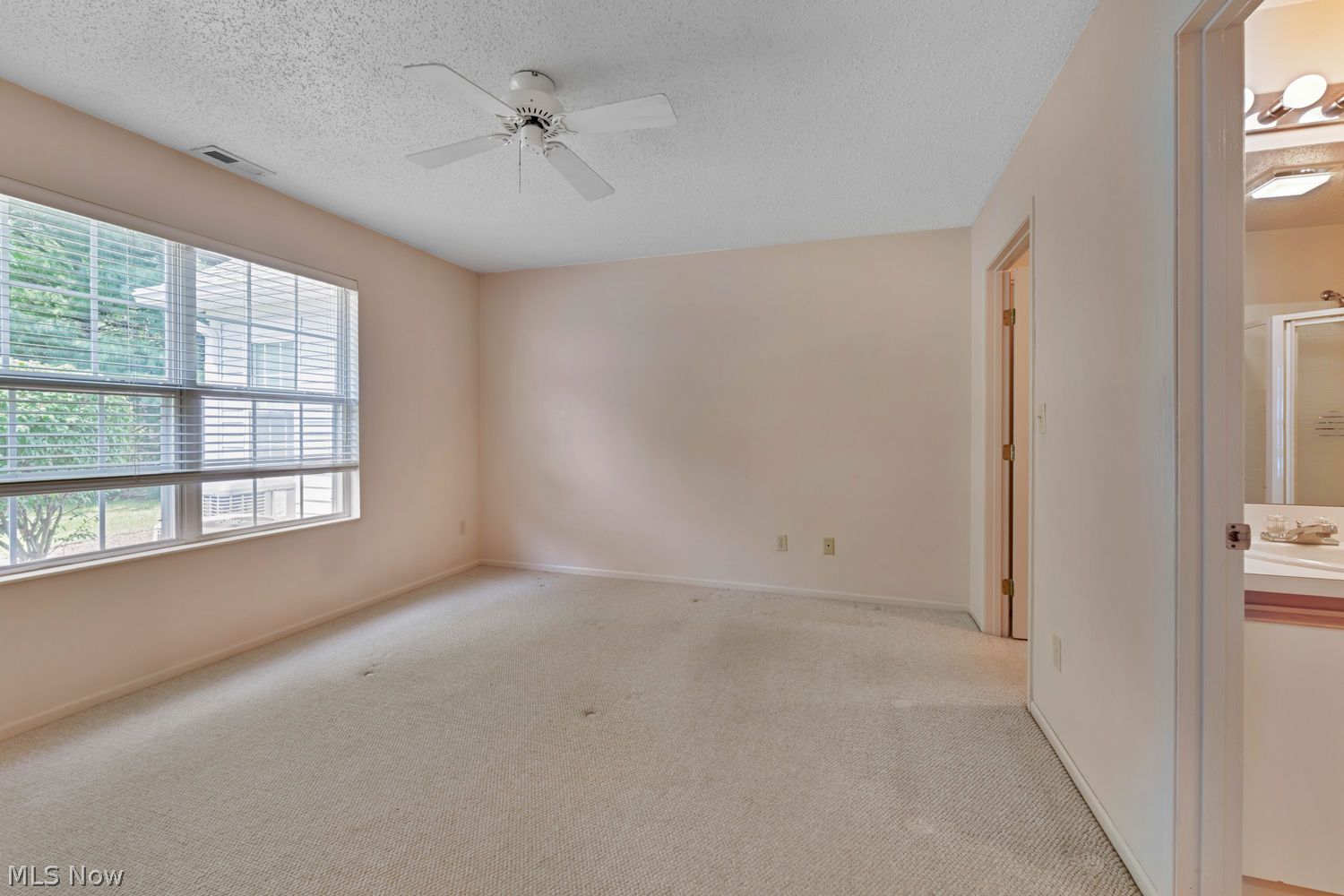 30 Newton Square Drive Canfield OH 44406