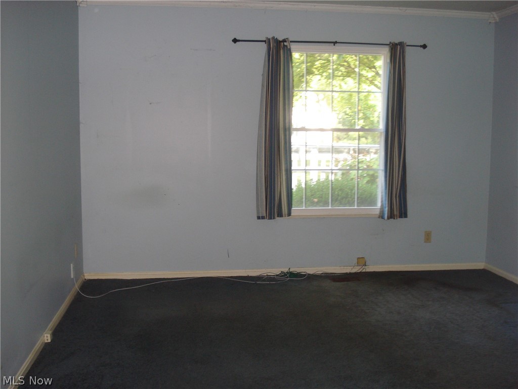 7590 Andrea Drive Mentor OH 44060