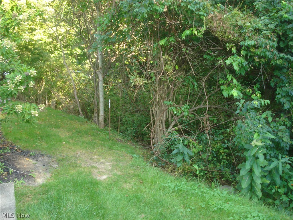 7590 Andrea Drive Mentor OH 44060