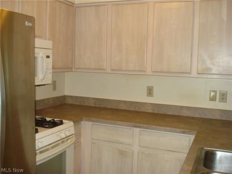7590 Andrea Drive Mentor OH 44060