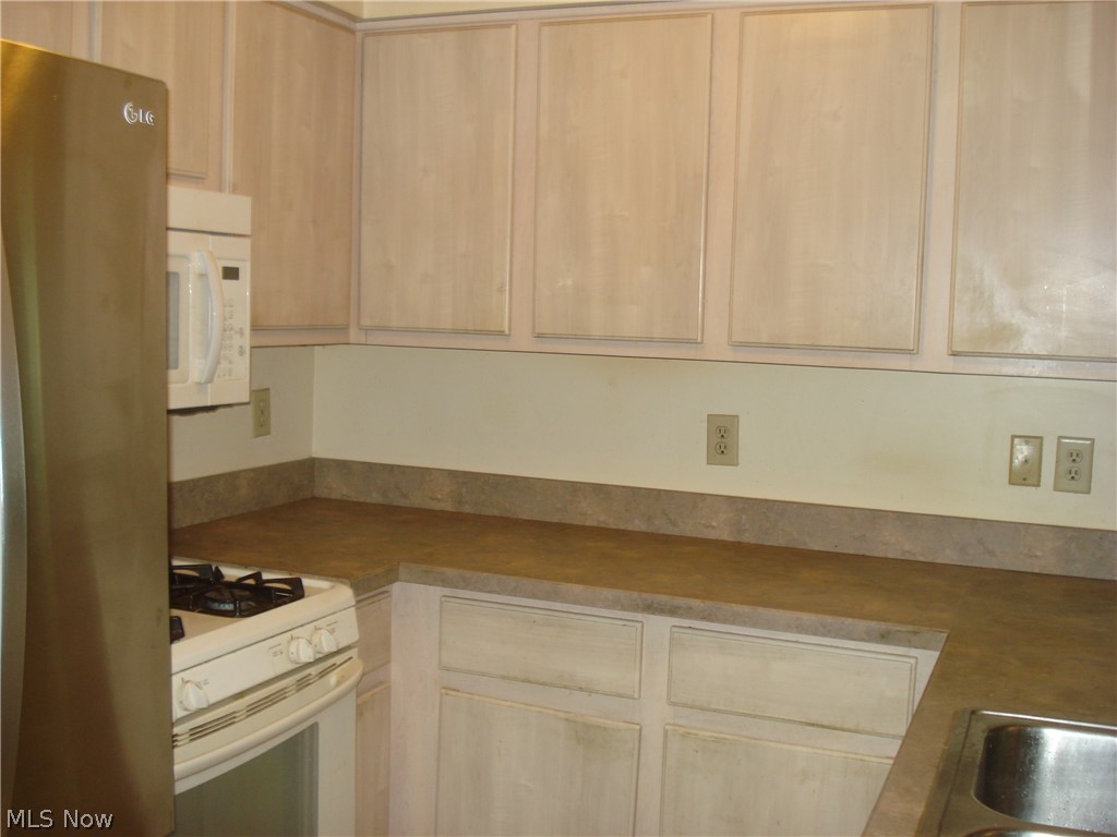 7590 Andrea Drive Mentor OH 44060