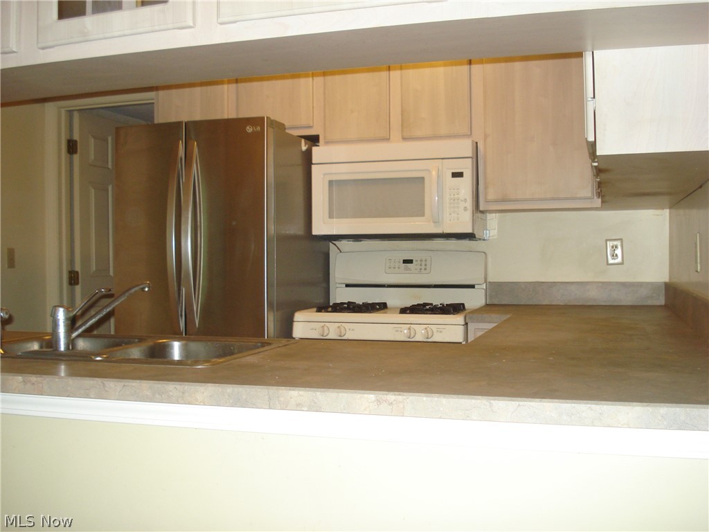 7590 Andrea Drive Mentor OH 44060