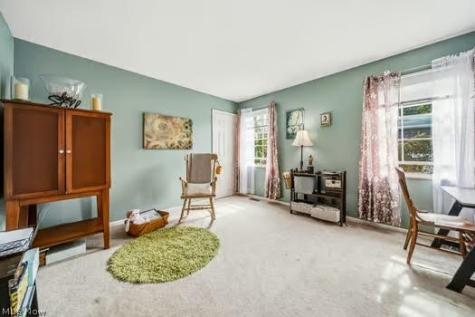 9823 Stratton Court Mentor OH 44060