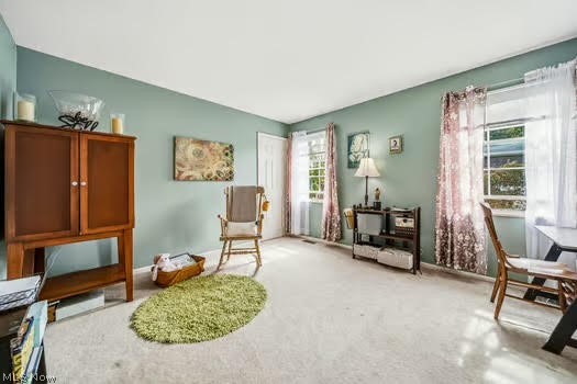 9823 Stratton Court Mentor OH 44060