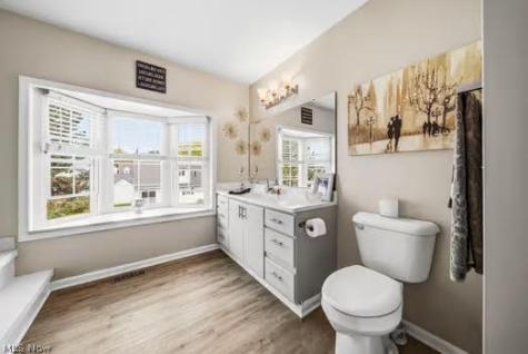 9823 Stratton Court Mentor OH 44060