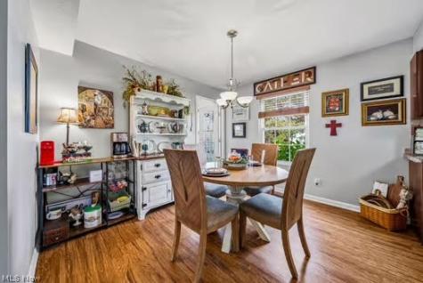 9823 Stratton Court Mentor OH 44060