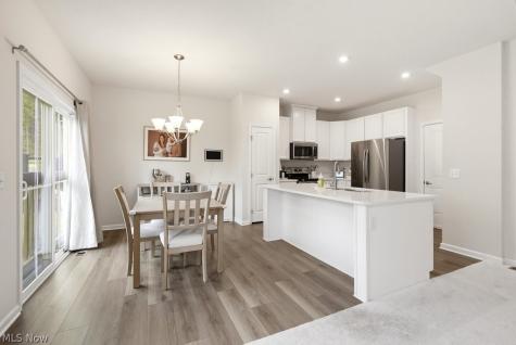 181 Pine Avenue Peninsula OH 44264
