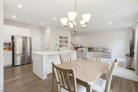 181 Pine Avenue Peninsula OH 44264