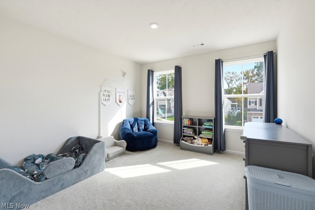 181 Pine Avenue Peninsula OH 44264