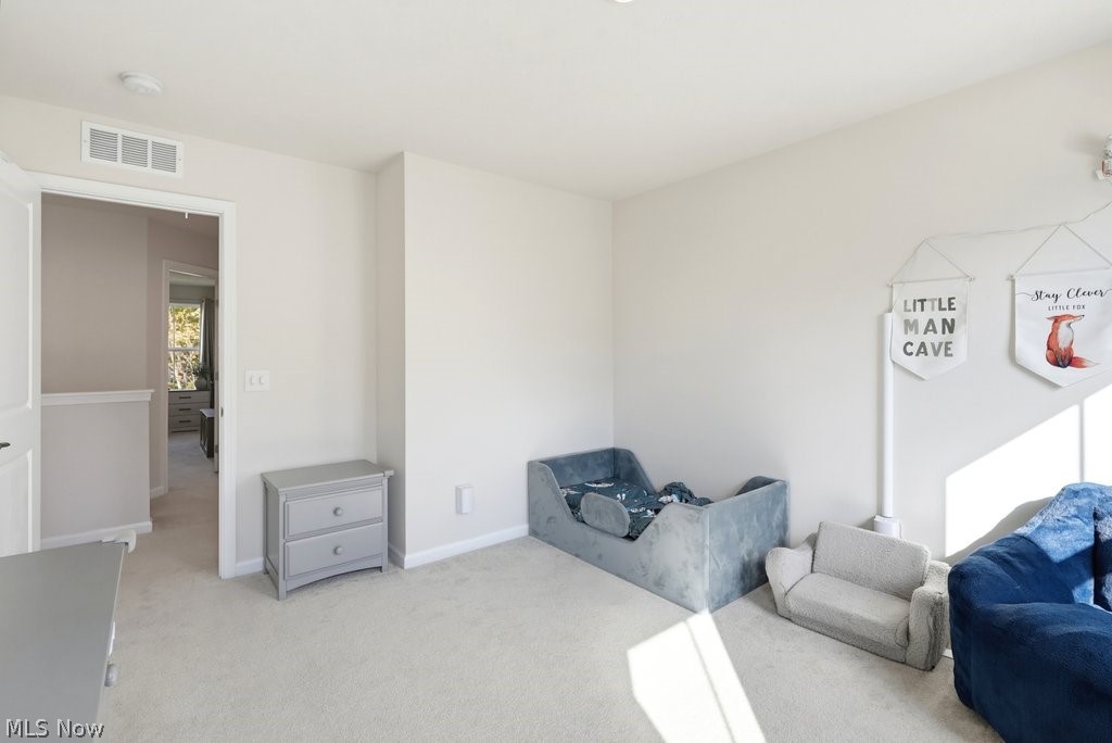 181 Pine Avenue Peninsula OH 44264