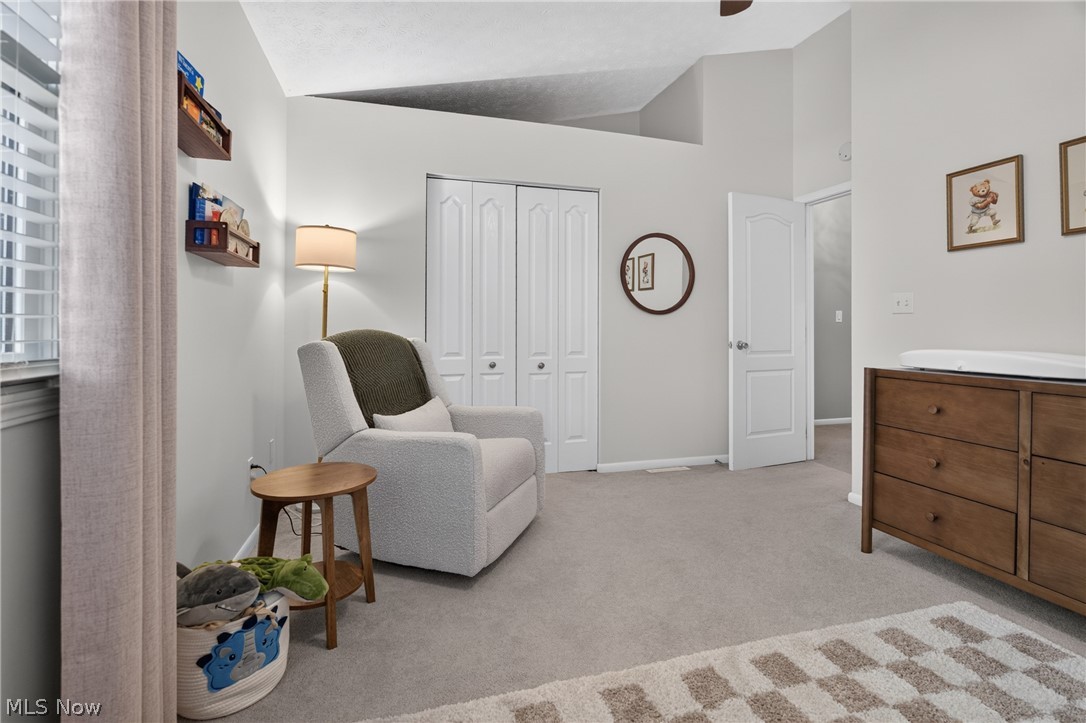 3776 Mercedes Place Canfield OH 44406