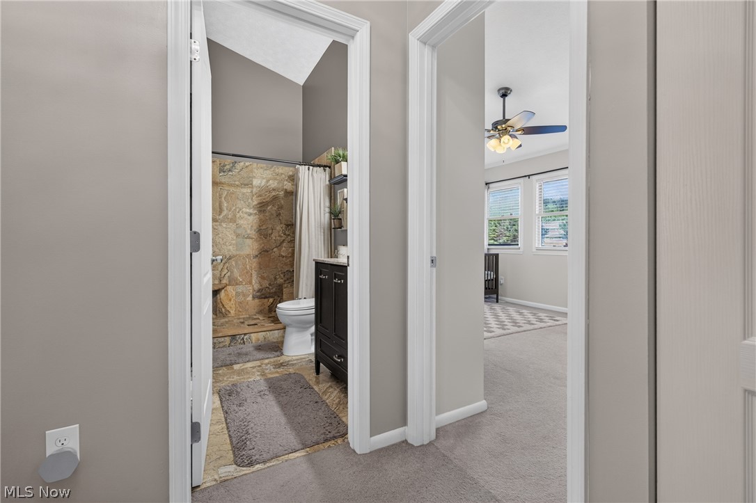 3776 Mercedes Place Canfield OH 44406
