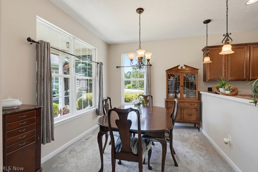 568 Hyannis Port Circle Avon Lake OH 44012