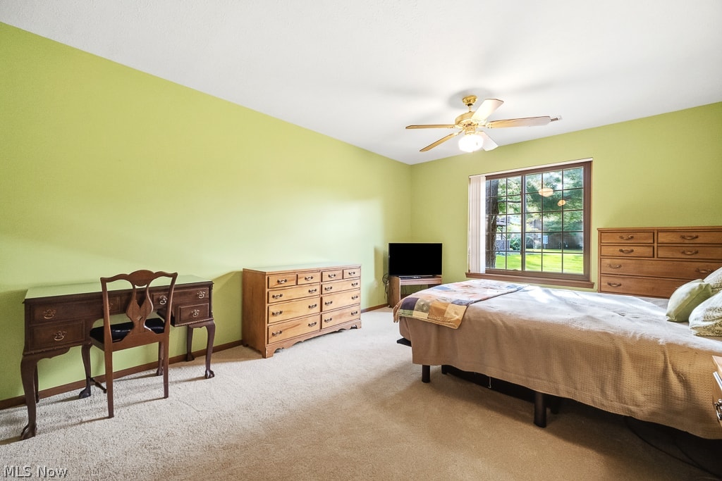 8665 Scenicview Drive Broadview Heights OH 44147