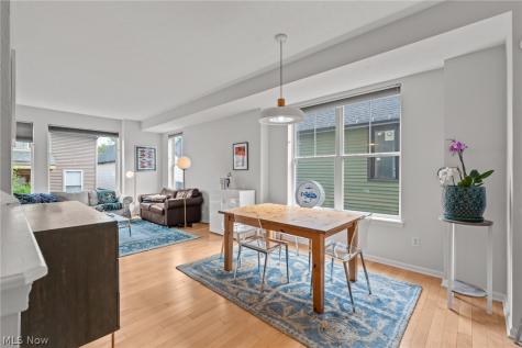 3901 Vine Court Cleveland OH 44113