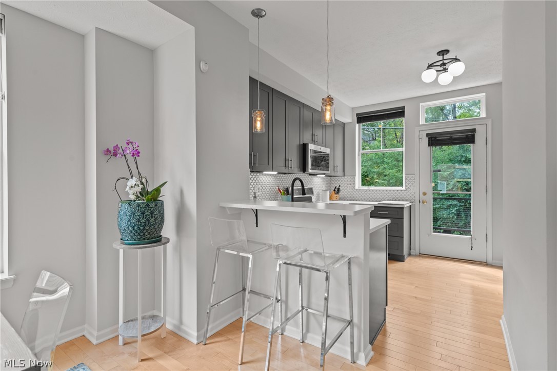 3901 Vine Court Cleveland OH 44113