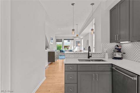 3901 Vine Court Cleveland OH 44113