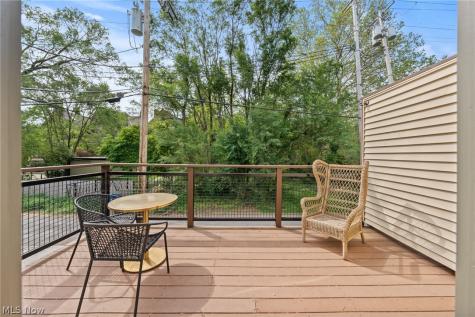 3901 Vine Court Cleveland OH 44113