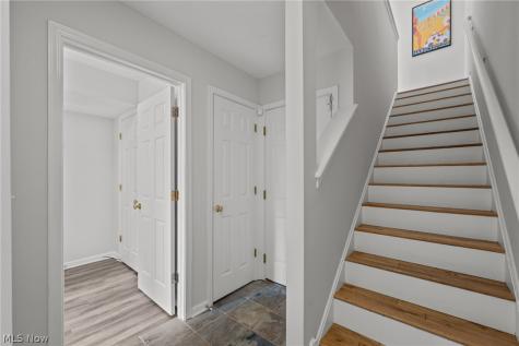 3901 Vine Court Cleveland OH 44113