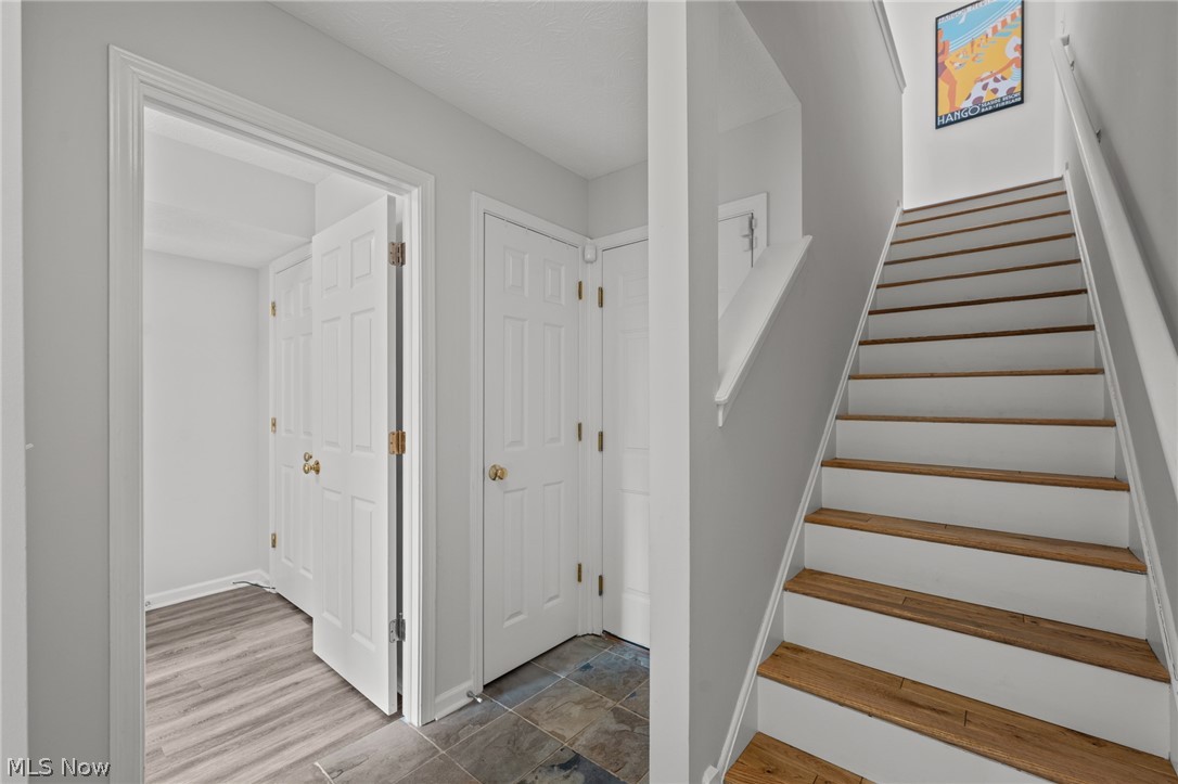 3901 Vine Court Cleveland OH 44113