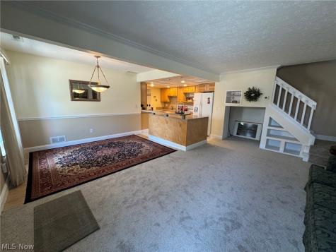 118 New Concord Drive Mentor OH 44060