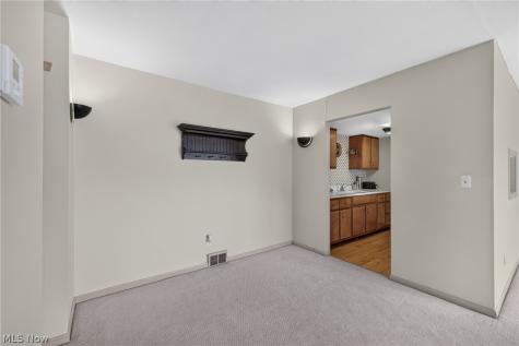 6965 Carriage Hill Drive Brecksville OH 44141