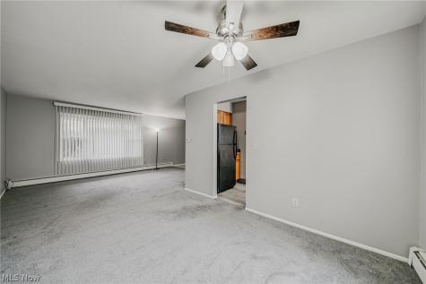 7191 Hart Street Mentor OH 44060