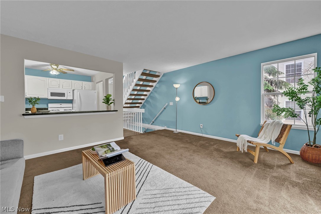 833 Overlook Ridge Drive Cleveland OH 44109