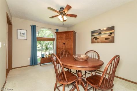 6142 Tiffin Court Mentor OH 44060