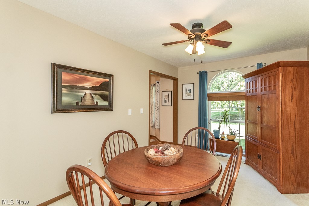 6142 Tiffin Court Mentor OH 44060