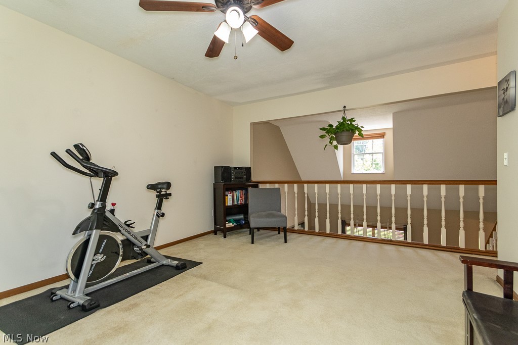 6142 Tiffin Court Mentor OH 44060