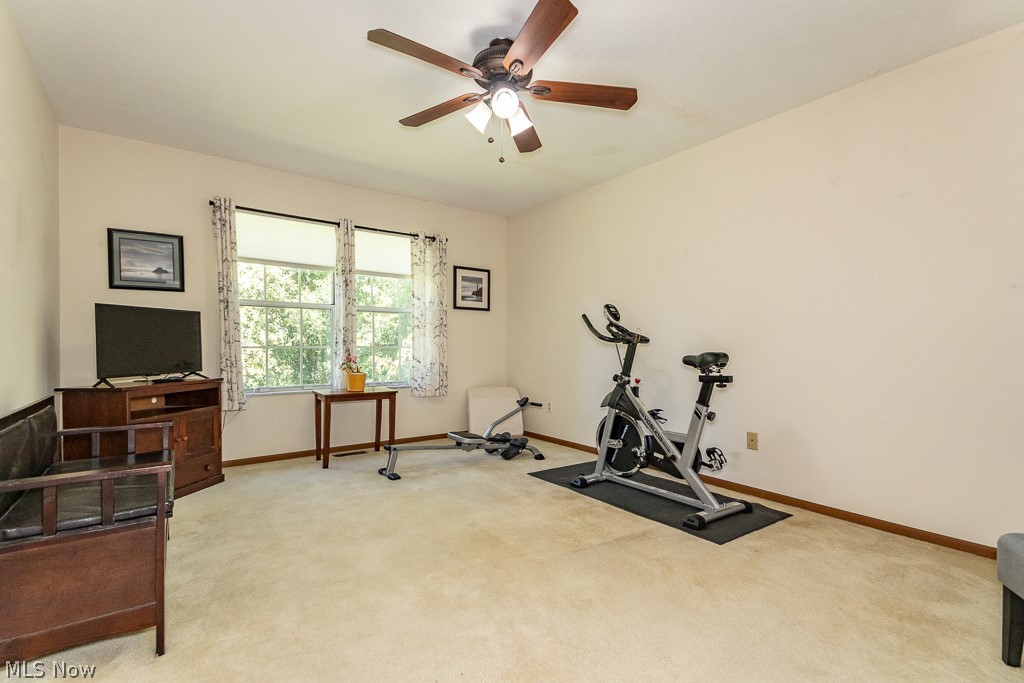 6142 Tiffin Court Mentor OH 44060