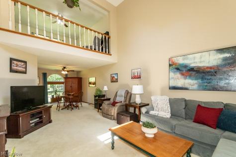 6142 Tiffin Court Mentor OH 44060