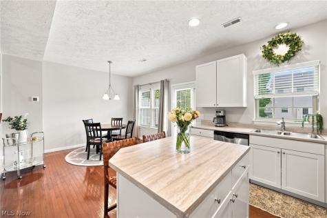 1385 Annette Court Lakewood OH 44107