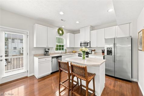 1385 Annette Court Lakewood OH 44107