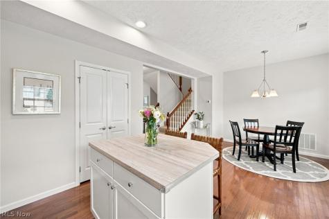 1385 Annette Court Lakewood OH 44107