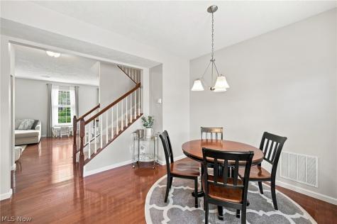 1385 Annette Court Lakewood OH 44107