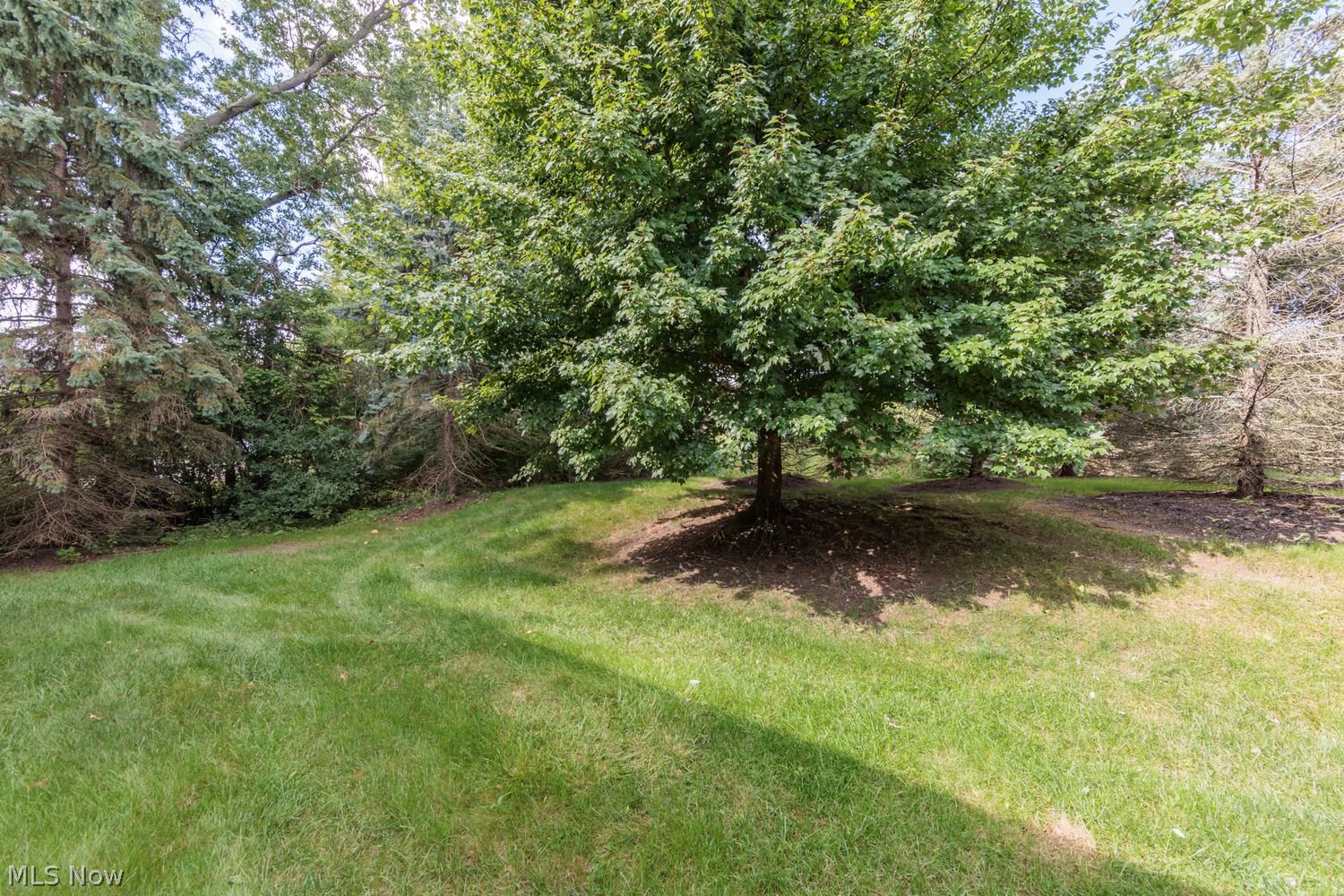1209 Windmill Way S Avon OH 44011