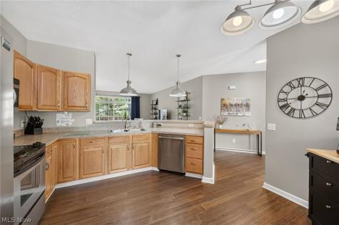 7390 Forest Cove Lane Northfield OH 44067